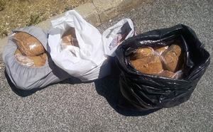 Slika /A Nove Fotke/Duhan.jpg